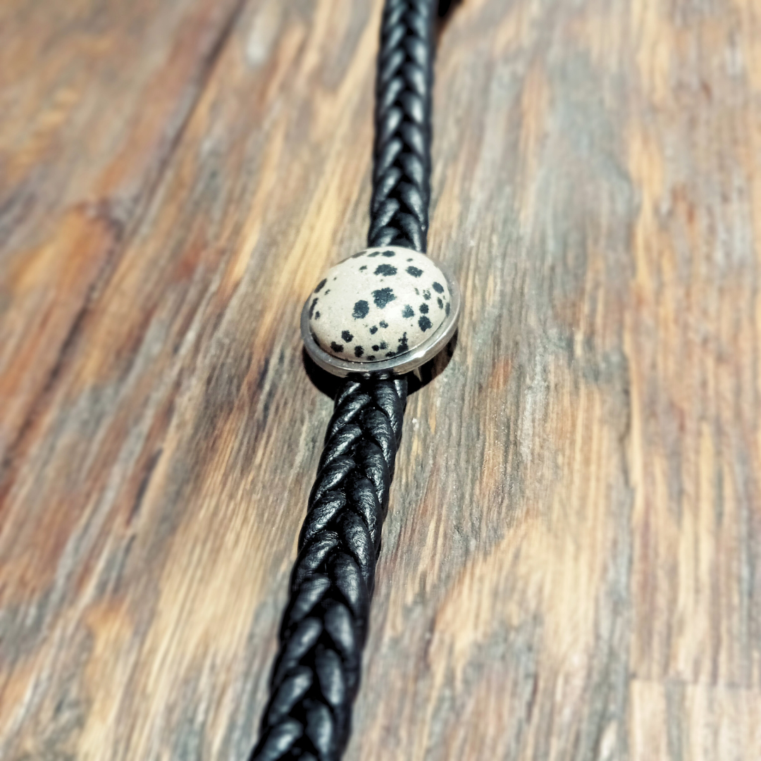 Kodiak - Dalmatinerjaspis & Stainless steel